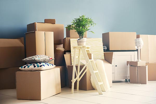 Indian Cargo  Packers And Movers 